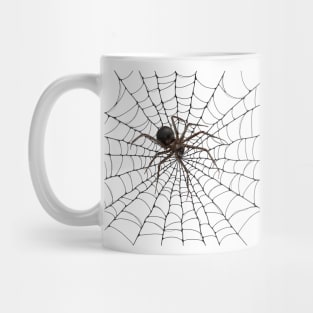 3D Spider Mug